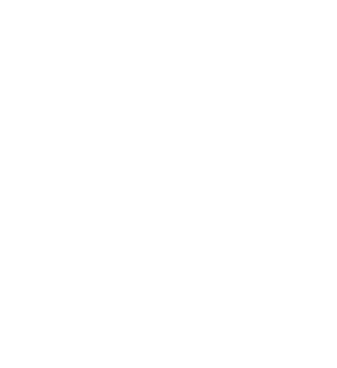 Baron Solution SARL